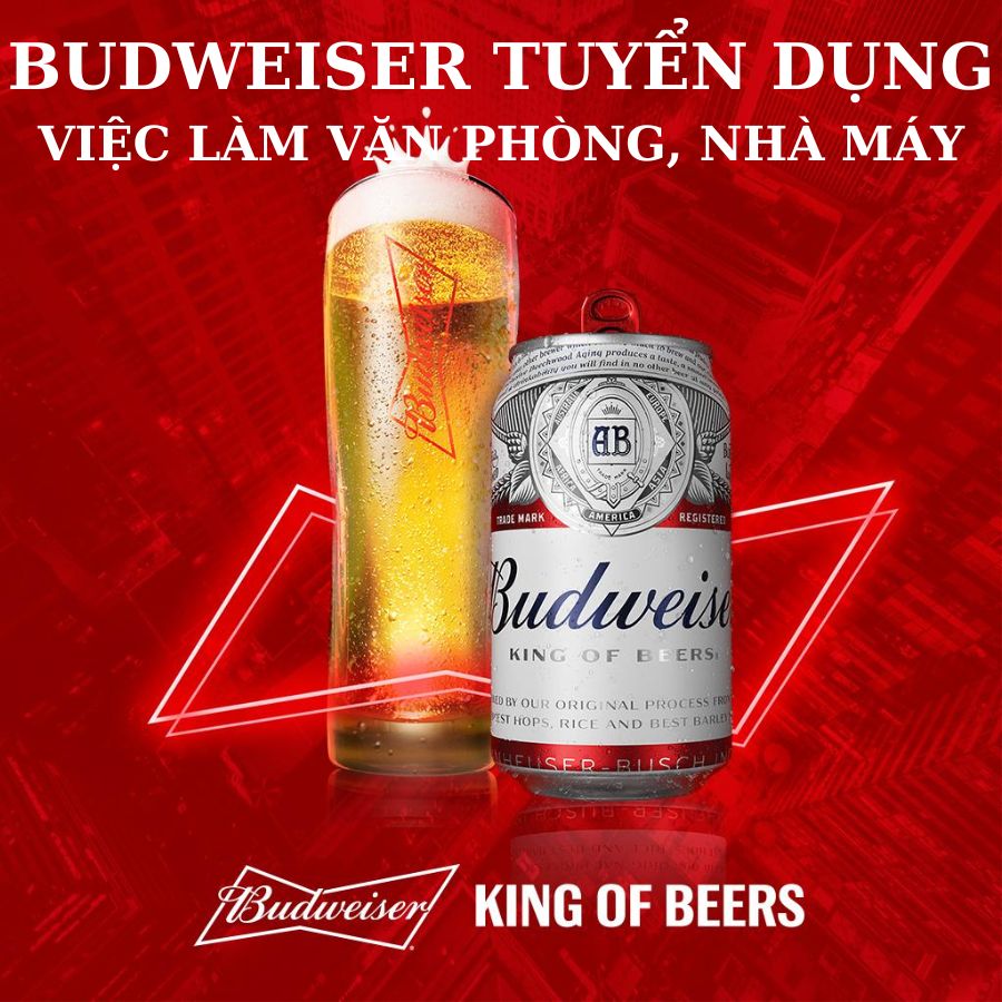 Budweiser tuyển dụng: Cơ hội việc làm hấp dẫn tại công ty nổi tiếng về Bia
