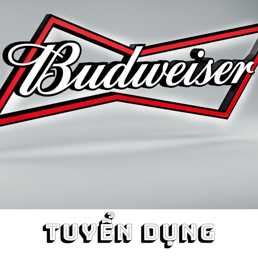 Công ty bia Budweiser tuyển dụng những vị trí nào? Mức lương và yêu cầu chi tiết nhấ